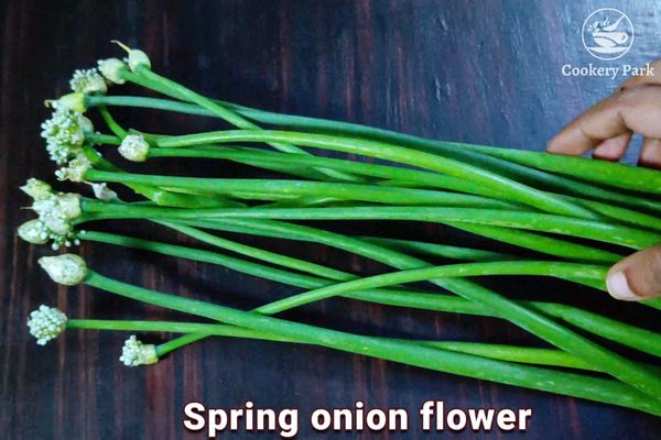 Spring onion stir fry Vengaya poo poriyal recipe